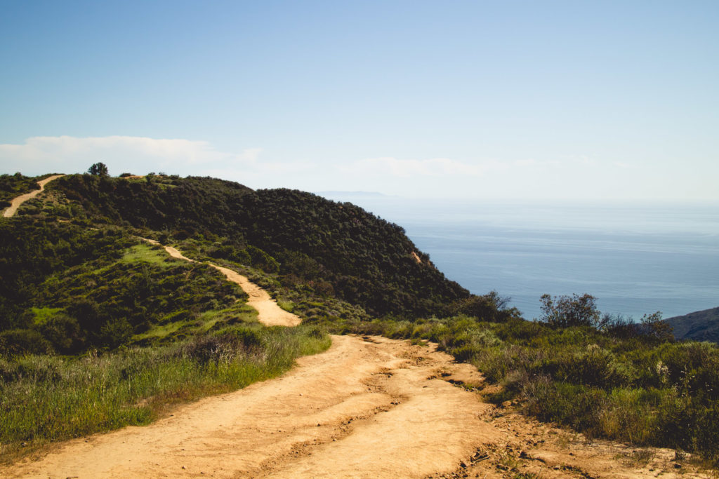 The easiest hike in LA with the best views of the Pacific Ocean